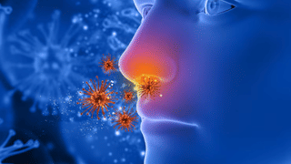 Sabari Rail Project: കാൽനൂറ്റാണ്ടിന്റെ കാത്തിരിപ്പ് സത്യമാകുന്നു… ശബരിമലയുടെ കവാടം വരെ ട്രെയിൻ എത്തും