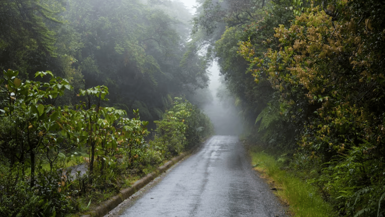 മഴ അൽപമൊന്ന് ശമിച്ച് വെയിൽ വന്നു തുടങ്ങി, എങ്കിലും കരുതൽ തുടരണം.  മഴ മാറുമ്പോൾ അന്തരീക്ഷത്തിൽ ഈർപ്പം കൂടുകയും താപനില വ്യതിയാനങ്ങൾ ഉണ്ടാവുകയും ചെയ്യുന്നത് ജലദോഷം, പനി, ചുമ തുടങ്ങിയ അസുഖങ്ങൾക്ക് കാരണമാവാം. പെട്ടെന്നുള്ള കാലാവസ്ഥാ മാറ്റം ശരീരത്തെ പ്രതികൂലമായി ബാധിക്കാം.