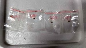 Agroterrorism: അപകടകാരിയായ ഫംഗസിനെ അമേരിക്കയിലേക്ക് കടത്തി; രണ്ട് ചൈനീസ് ഗവേഷകര് അറസ്റ്റില് Agroterrorism: അപകടകാരിയായ ഫംഗസിനെ അമേരിക്കയിലേക്ക് കടത്തി; രണ്ട് ചൈനീസ് ഗവേഷകര് അറസ്റ്റില്