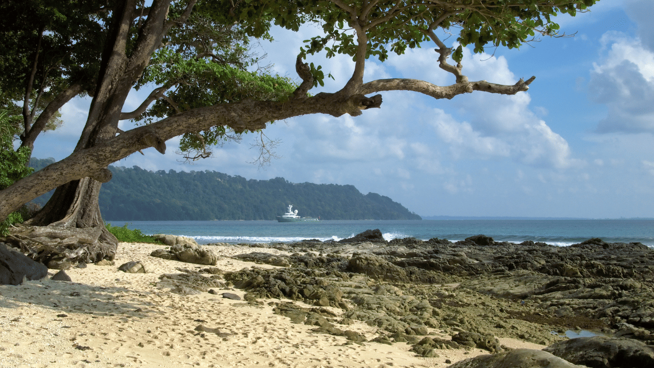 Beach Towns In India: ഗോവ മാത്രമല്ലന്നേ...! വേറെയുമുണ്ട് സീക്രട്ട് ബീച്ചുകൾ; കൂടുതലറിയാം Beach Towns In India: ഗോവ മാത്രമല്ലന്നേ...! വേറെയുമുണ്ട് സീക്രട്ട് ബീച്ചുകൾ; കൂടുതലറിയാം