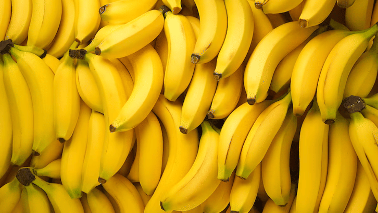 അതുപോലെ വാഴപ്പഴവും മൊത്തത്തിലുള്ള ആരോ​ഗ്യത്തിന് ​ഗുണം ചെയ്യുന്നു. ഇവയിൽ പൊട്ടാസ്യം, വിറ്റാമിൻ ബി6 തുടങ്ങിയവ ധാരാളം അടങ്ങിയിട്ടുണ്ട്. ഇവ ക്ഷീണം അകറ്റാൻ സഹായിക്കുന്നു.
