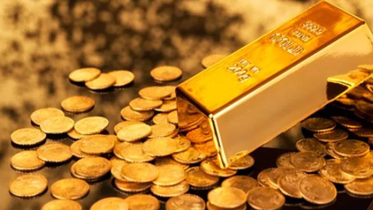 Canara Bank Gold Theft : കാനറ ബാങ്കിൽ നിന്ന് പോയത് 59 കിലോ സ്വർണം ; മോഷ്ടാക്കൾ എവിടെ? Canara Bank Gold Theft : കാനറ ബാങ്കിൽ നിന്ന് പോയത് 59 കിലോ സ്വർണം ; മോഷ്ടാക്കൾ എവിടെ?