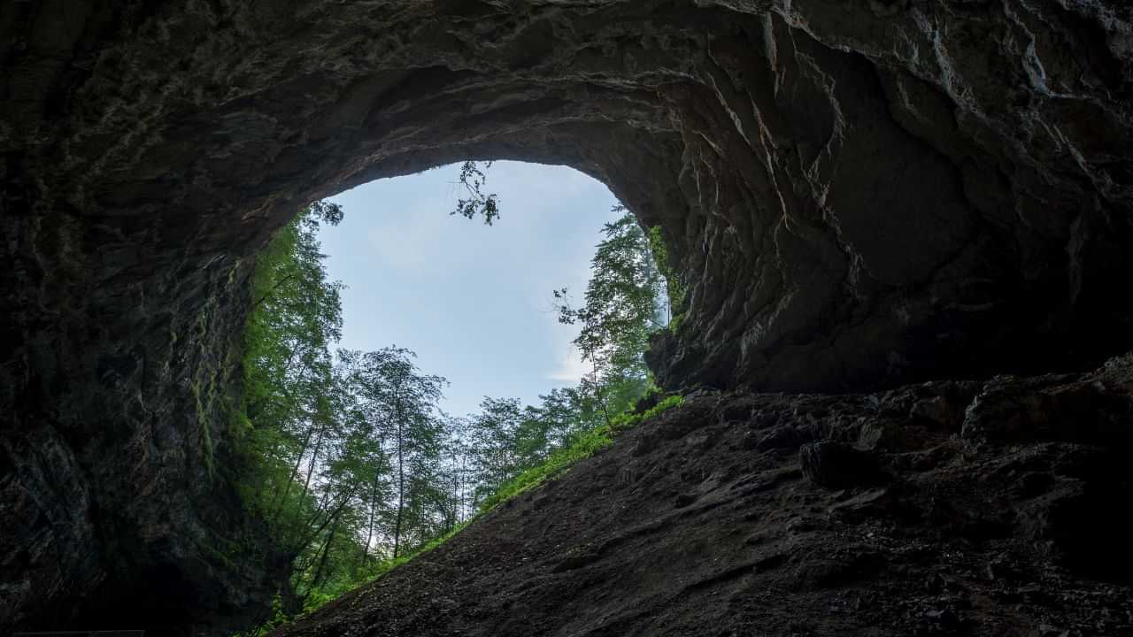 Viral Video: ഗുഹയില്‍ ജീവിക്കാന്‍ ജോലി ഉപേക്ഷിച്ചു; താന്‍ ആഗ്രഹിച്ച ജീവിതമെന്ന് യുവാവ്