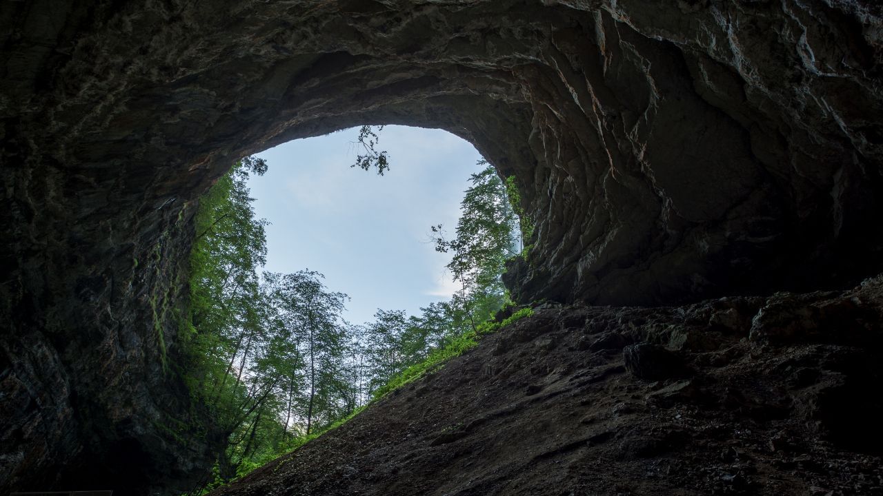 Viral Video: ഗുഹയില്‍ ജീവിക്കാന്‍ ജോലി ഉപേക്ഷിച്ചു; താന്‍ ആഗ്രഹിച്ച ജീവിതമെന്ന് യുവാവ്