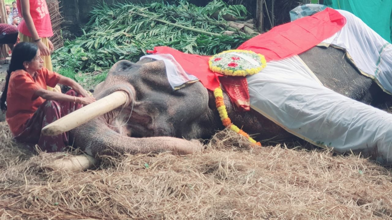 Chathapuram Babu: ജയശ്രീ തനിച്ചായി, ചാത്തപുരം ബാബുവിന് വിട