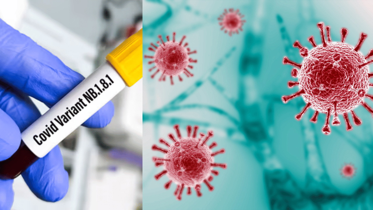 Covid In India Today: 5000 കടന്ന കോവിഡ് രോ​ഗികൾ; 24 മണിക്കൂറിനിടെ 4 മരണം, രോ​ഗബാധിതർ കൂടുതൽ കേരളത്തിൽ