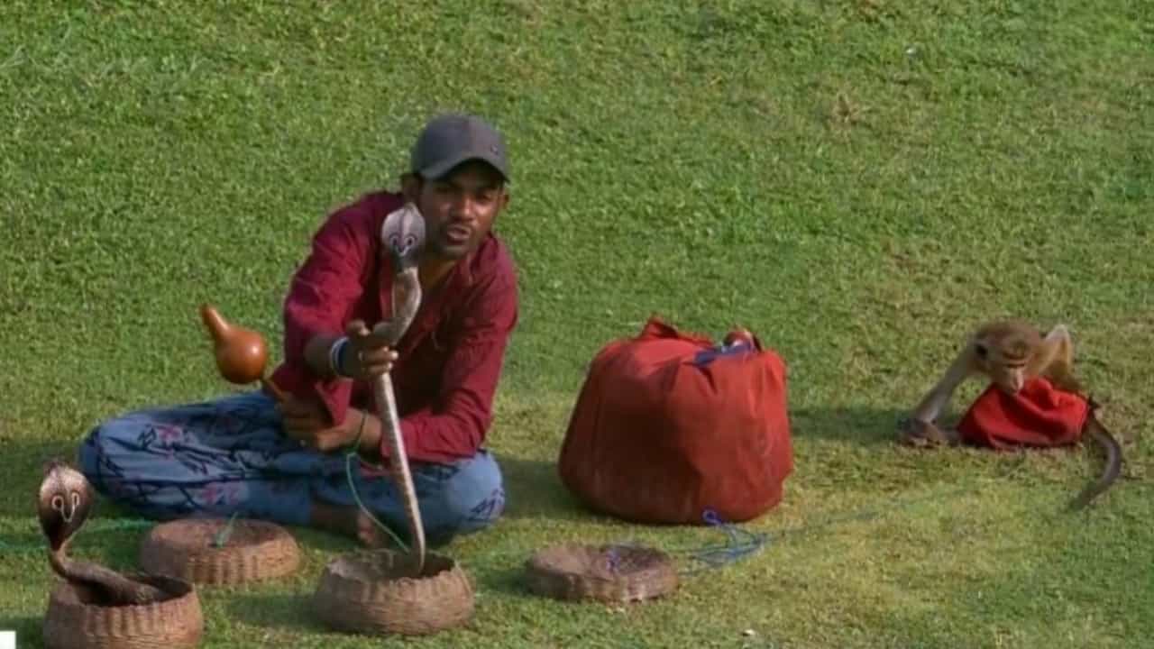 Srilanka vs Bangladesh: പാമ്പും മകുടിയും കുരങ്ങനും; ശ്രീലങ്ക - ബംഗ്ലാദേശ് മത്സരത്തിനിടെ ഗ്യാലറിയിൽ വൈറൽ ആരാധകർ Srilanka vs Bangladesh: പാമ്പും മകുടിയും കുരങ്ങനും; ശ്രീലങ്ക - ബംഗ്ലാദേശ് മത്സരത്തിനിടെ ഗ്യാലറിയിൽ വൈറൽ ആരാധകർ