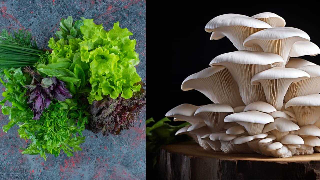 Foods You Must Avoid in Monsoon: മഴക്കാലത്ത് ഈ ഭക്ഷണങ്ങള്‍ കഴിക്കാറുണ്ടോ? ഇന്ന് തന്നെ നിർത്തിക്കോ!