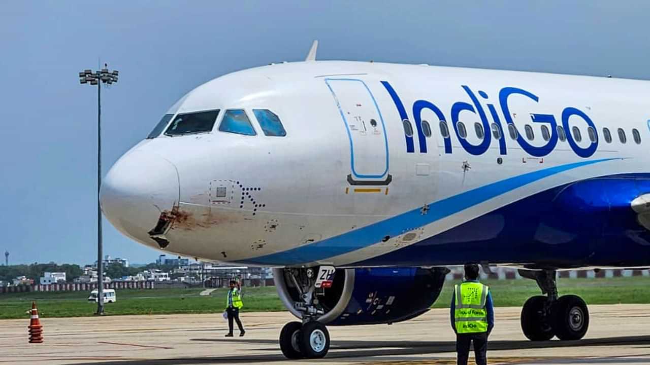 IndiGo Oven: ഓവനില്ലാ ഇന്‍ഡിഗോ; ഒരു വര്‍ഷം കൊയ്യുന്നത് കോടികളുടെ ലാഭം