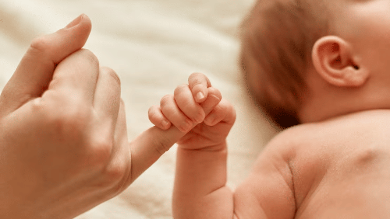 Newborn at Ammathottil: അർധരാത്രി മഴയ്ക്കൊപ്പം അവളെത്തി, അമ്മത്തൊട്ടിലിലെ പുതിയ അതിഥിയ്ക്ക് പേര് ജൂൺ Newborn at Ammathottil: അർധരാത്രി മഴയ്ക്കൊപ്പം അവളെത്തി, അമ്മത്തൊട്ടിലിലെ പുതിയ അതിഥിയ്ക്ക് പേര് ജൂൺ