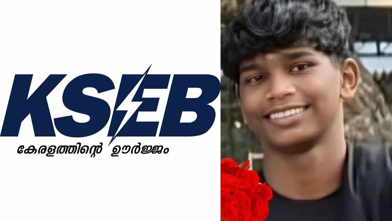 Electric Shock Death: രാത്രിയിലാണ് വൈദ്യുതി മോഷണം നടക്കുന്നത്, പന്നിക്കെണി നിര്‍മ്മിക്കുന്നതുമായി ബന്ധപ്പെട്ട പരാതി നേരത്തെ ലഭിച്ചിട്ടില്ല: കെഎസ്ഇബി