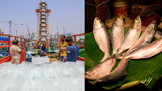 Kerala Rain Alert: വടക്കൻ ജില്ലകളിൽ അതിതീവ്ര മഴ: കണ്ണൂർ, കാസർകോട് ജില്ലകളിലെ വിദ്യാഭ്യാസ സ്ഥാപനങ്ങൾക്ക് രണ്ടുദിവസം അവധി
