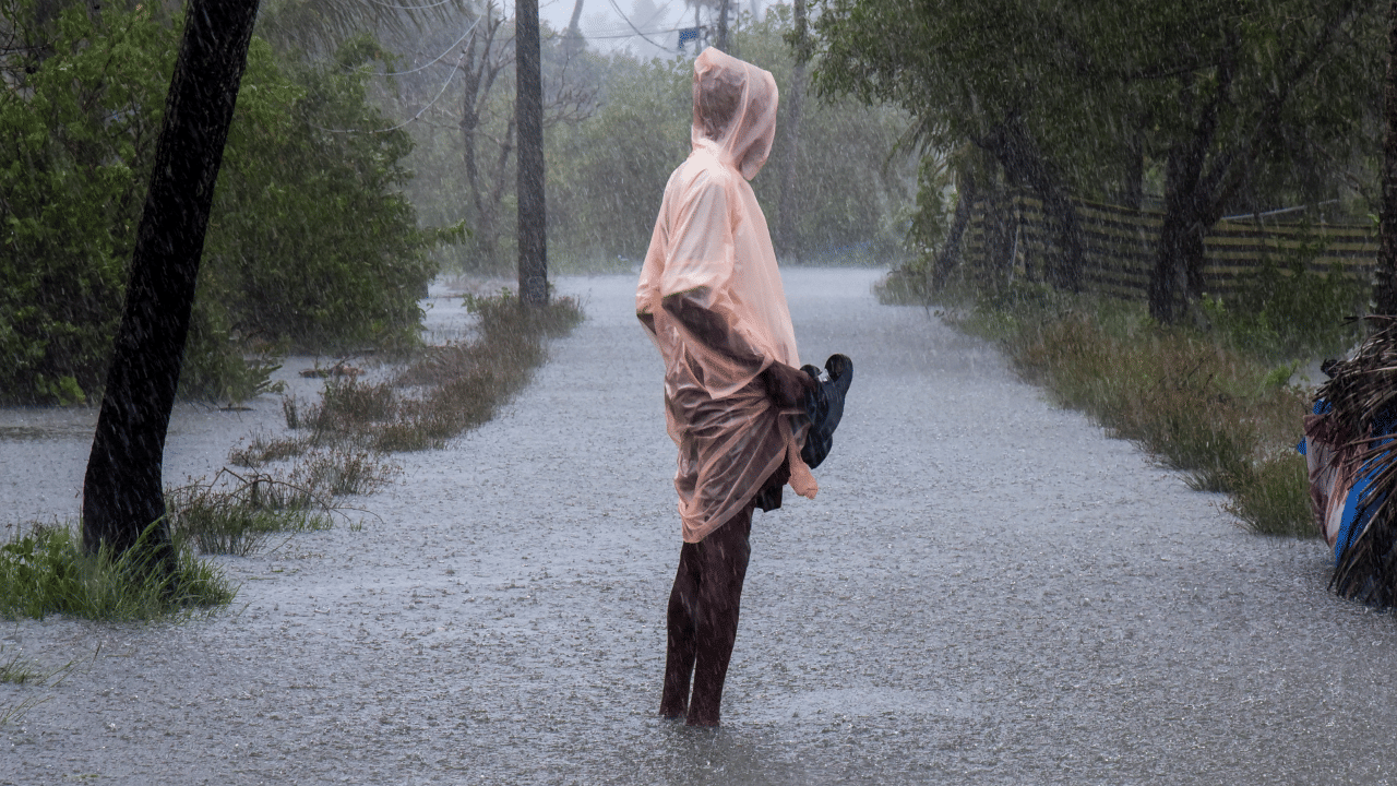 Kerala Rain Alert: സംസ്ഥാനത്ത് ഇന്ന് ഏഴ് ജില്ലകൾക്ക് യെല്ലോ അലർട്ട്; ഈ ജില്ലകളിൽ സ്കൂളുകൾക്കും അവധി