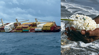 Kochi Ship Accident MSC Manasa: വിഴിഞ്ഞം വിടരുത്, എംഎസ് സി മാന്‍സ എഫ് കപ്പല്‍ തടഞ്ഞുവയ്ക്കാന്‍ ഹൈക്കോടതി ഉത്തരവ്