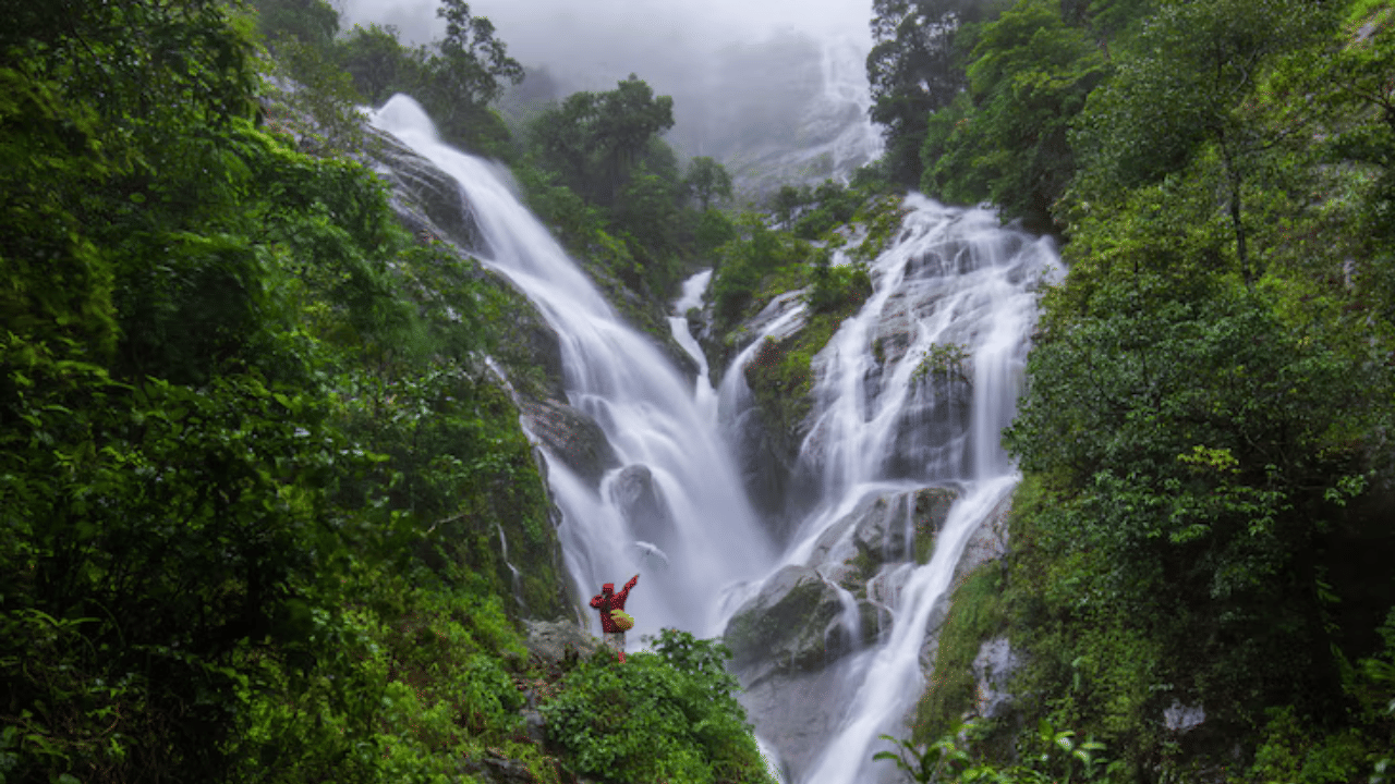 Kodagu: കുടക് കാണാം കൺനിറയെ; കർണാടകയുടെ സ്കോട്ലാൻഡിലേക്ക് ഒരു യാത്ര