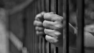 Kerala Fish: കേരള തീരത്ത് നിന്ന് പിടിക്കുന്ന മത്സ്യം ഭക്ഷ്യയോഗ്യവും സുരക്ഷിതവും; സിഐഎഫ്ടി