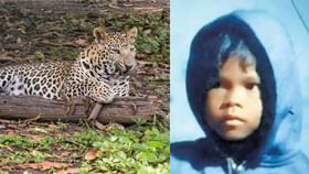 Leopard Attack in Valparai: പുലി പിടിച്ച നാലരവയസ്സുകാരിയെ മരിച്ച നിലയിൽ കണ്ടെത്തി; മൃതദേഹം പകുതി ഭക്ഷിച്ച നിലയിൽ Leopard Attack in Valparai: പുലി പിടിച്ച നാലരവയസ്സുകാരിയെ മരിച്ച നിലയിൽ കണ്ടെത്തി; മൃതദേഹം പകുതി ഭക്ഷിച്ച നിലയിൽ...