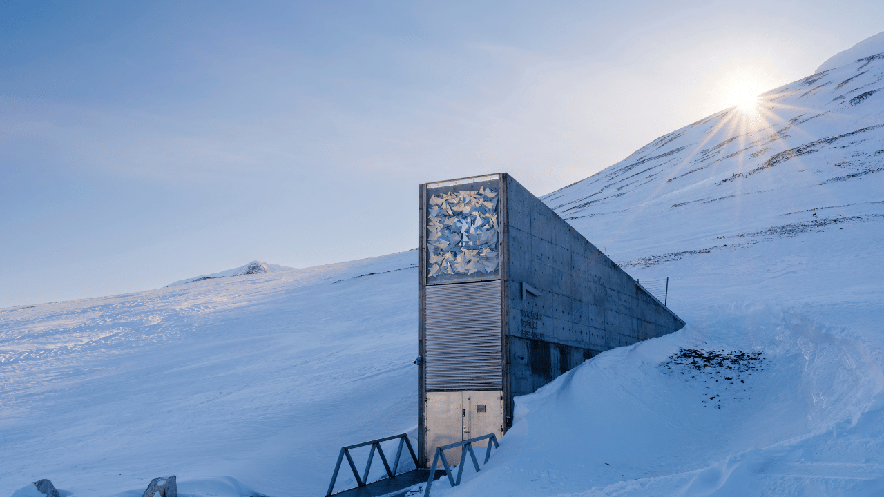 Longyearbyen: മരണം നിരോധിച്ച ഗ്രാമം, താമസിക്കുന്നത് രണ്ടായിരത്തോളം പേർ