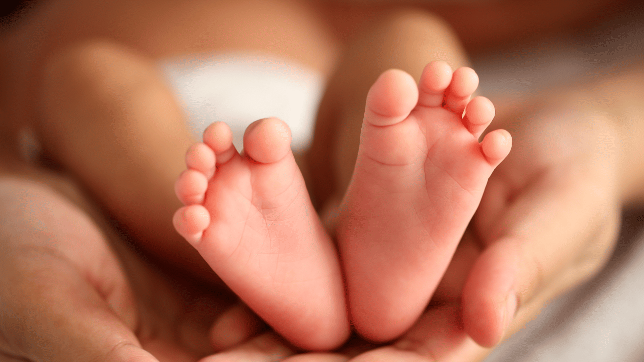 Malappuram Child Sold Case: ഒമ്പത് മാസം പ്രായമായ കുഞ്ഞിനെ വിറ്റത് ഒന്നരലക്ഷം രൂപയ്ക്ക്; സംഭവം മലപ്പുറം തിരൂരിൽ Malappuram Child Sold Case: ഒമ്പത് മാസം പ്രായമായ കുഞ്ഞിനെ വിറ്റത് ഒന്നരലക്ഷം രൂപയ്ക്ക്; സംഭവം മലപ്പുറം തിരൂരിൽ