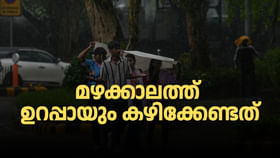Monsoon Immunity Boosting Food: ജലദോഷം പോലും വരില്ല, മഴക്കാലത്ത് ഇവ കഴിക്കണം Monsoon Immunity Boosting Food: ജലദോഷം പോലും വരില്ല, മഴക്കാലത്ത് ഇവ കഴിക്കണം...