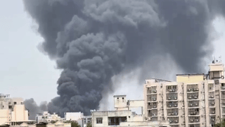 Viral CCTV Footage: എന്തൊരു ക്രൂരതയാണിത്, കെട്ടിടത്തിനു മുകളിൽ നിന്ന് പൂച്ചയെ വലിച്ചെറിഞ്ഞു കൊന്നയാളുടെ ദൃശ്യം വൈറലാകുന്നു