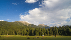 Pahalgam Tourism: ഉയർത്തെഴുന്നേറ്റ് പഹൽഗാം; വിനോദസഞ്ചാരികളുടെ വൻ തിരക്ക്, സുരക്ഷയൊരുക്കി ഭരണകൂടം Pahalgam Tourism: ഉയർത്തെഴുന്നേറ്റ് പഹൽഗാം; വിനോദസഞ്ചാരികളുടെ വൻ തിരക്ക്, സുരക്ഷയൊരുക്കി ഭരണകൂടം...