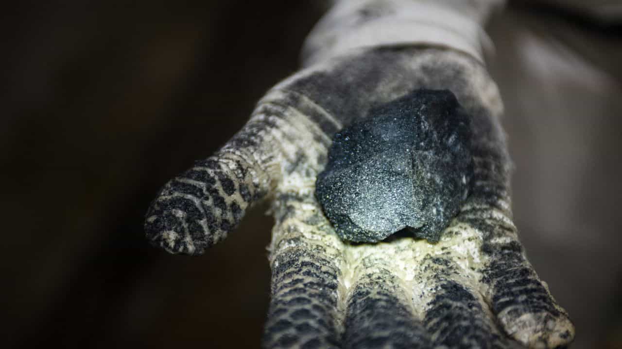 Platinum Price: സ്വര്‍ണമല്ല, പ്ലാറ്റിനം കുതിക്കുന്നു; 10 വര്‍ഷത്തിനിടയിലെ ഏറ്റവും ഉയര്‍ന്ന വില