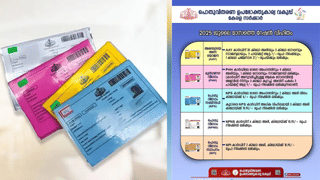 Kerala Weather Updates: ജൂലൈ രണ്ടുമുതൽ ശക്തമായ മഴ, ഈ ജില്ലകളിൽ യെല്ലോ അലേർട്ട്; കാലാവസ്ഥ പ്രവചനം ഇങ്ങനെ…