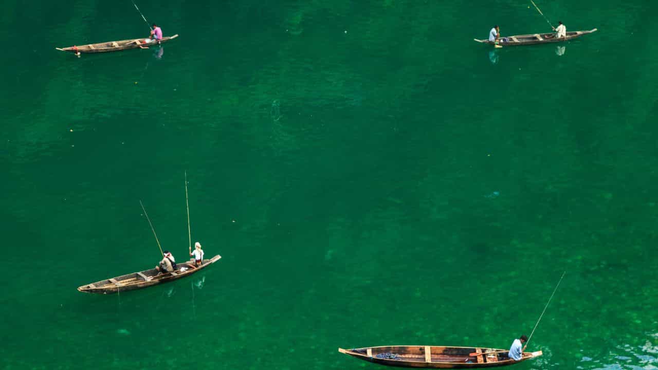 Kerala Rain: ജാഗ്രത കൈവിടല്ലേ; പാലക്കാടും കാസര്‍കോടുമായി മൂന്നുപേര്‍ പുഴയില്‍ ഒഴുക്കില്‍പെട്ടു