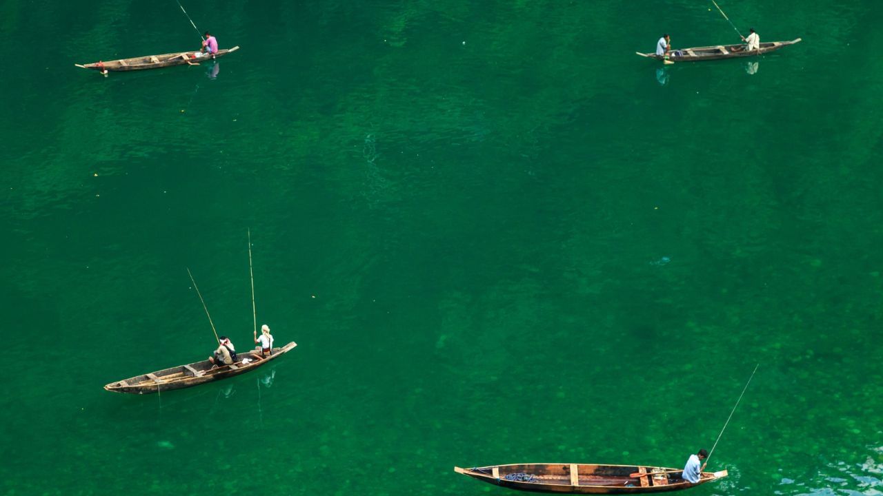 Kerala Rain: ജാഗ്രത കൈവിടല്ലേ; പാലക്കാടും കാസര്‍കോടുമായി മൂന്നുപേര്‍ പുഴയില്‍ ഒഴുക്കില്‍പെട്ടു
