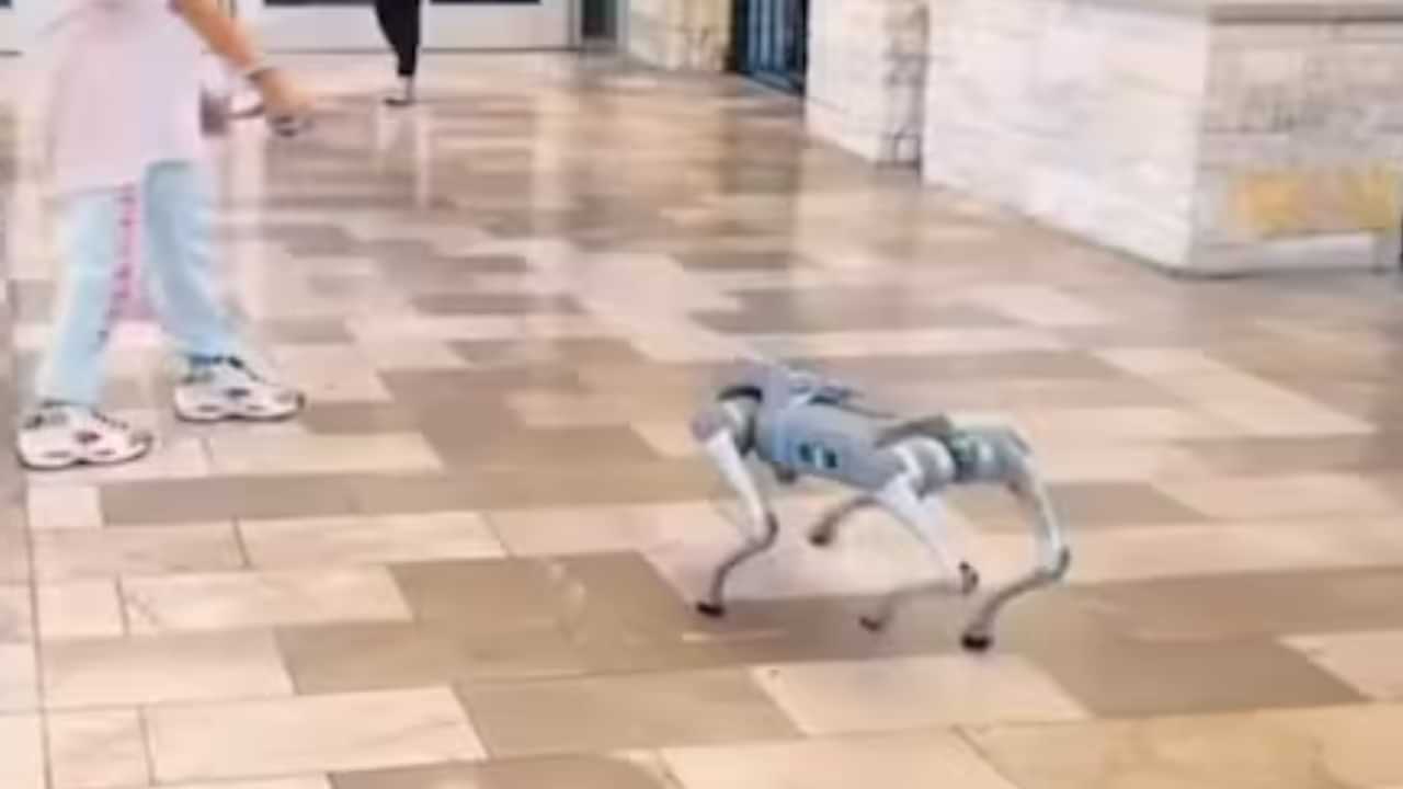Robot Dog: ടെക്സസിലെ മാളിൽ റോബോട്ട് പട്ടി; അതിശയ കാഴ്ചയിൽ അമ്പരപ്പോടെ ആളുകൾ