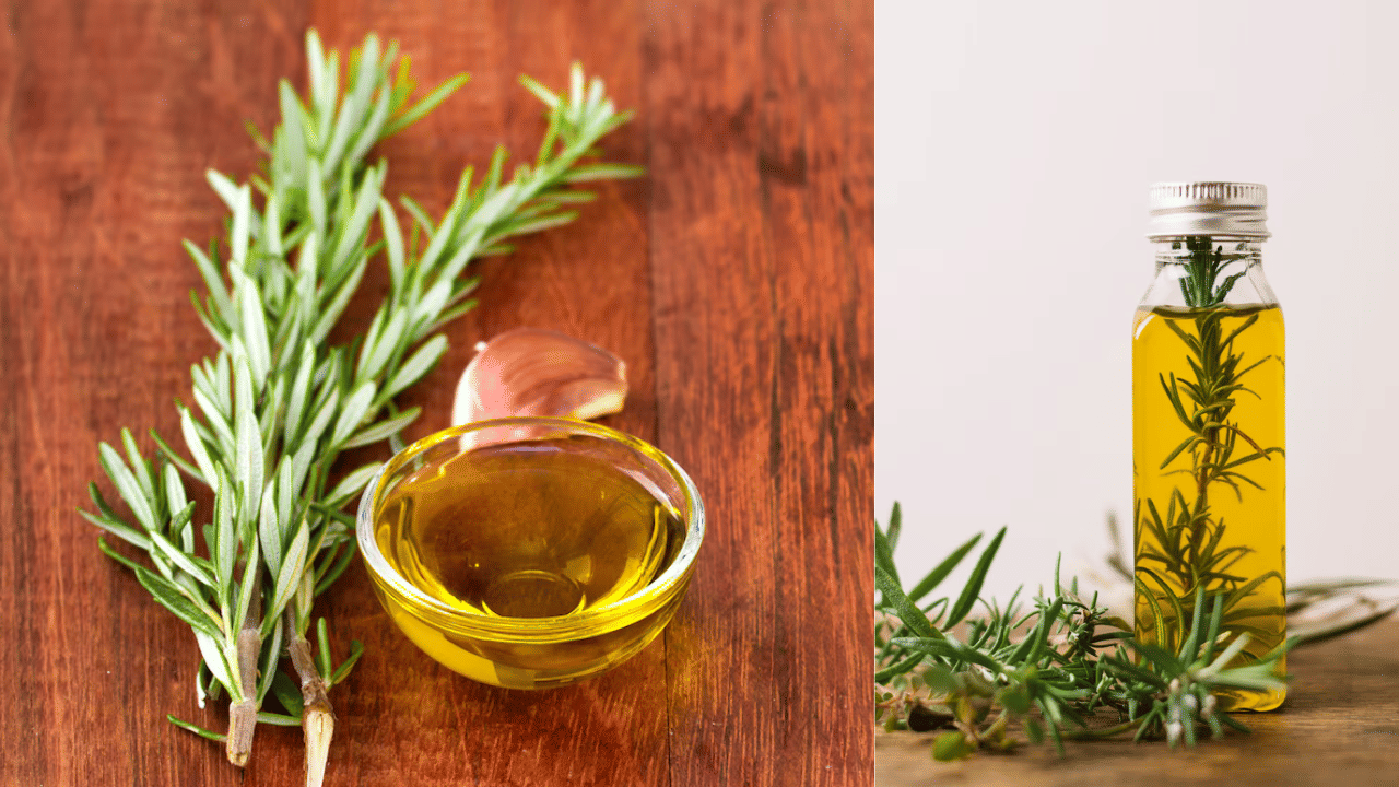 Rosemary Oil Making: ഇനി കാശ് കളയണ്ട! റോസ്മേരി ഓയിൽ വീട്ടിൽ തന്നെ തയ്യാറാക്കാം; അറിയാം ആ എളുപ്പവഴി