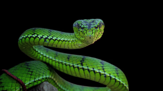 Kerala rain alert: മഴ വീണ്ടും വരവായി, ചൊവ്വാഴ്ച മുതല്‍ വിവിധ ജില്ലകളില്‍ മുന്നറിയിപ്പ്