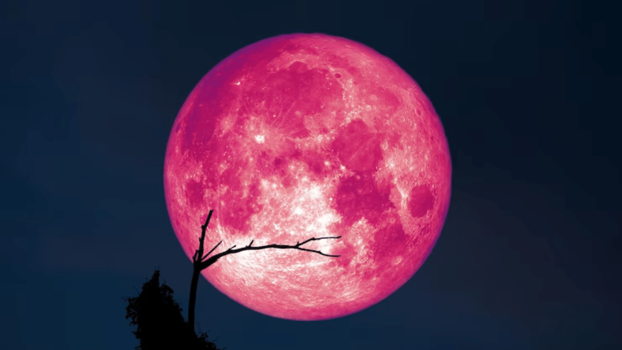 Strawberry Moon: ആകാശത്ത് വിസ്മയം തീർക്കാൻ സ്ട്രോബറി മൂൺ; എങ്ങനെ എവിടെ കാണാം?