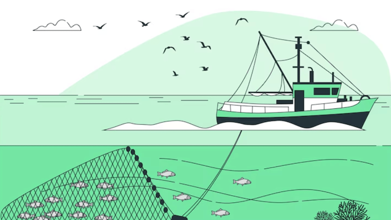 Kerala Trawling Ban : ട്രോളിങ് നിരോധനം എന്നാൽ എന്ത്? ഈ സമയത്ത് പരമ്പരാഗത മത്സ്യബന്ധനം അനുവദിക്കുമോ?