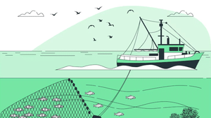 Kerala Trawling Ban : ട്രോളിങ് നിരോധനം എന്നാൽ എന്ത്? ഈ സമയത്ത് പരമ്പരാഗത മത്സ്യബന്ധനം അനുവദിക്കുമോ? Kerala Trawling Ban : ട്രോളിങ് നിരോധനം എന്നാൽ എന്ത്? ഈ സമയത്ത് പരമ്പരാഗത മത്സ്യബന്ധനം അനുവദിക്കുമോ?