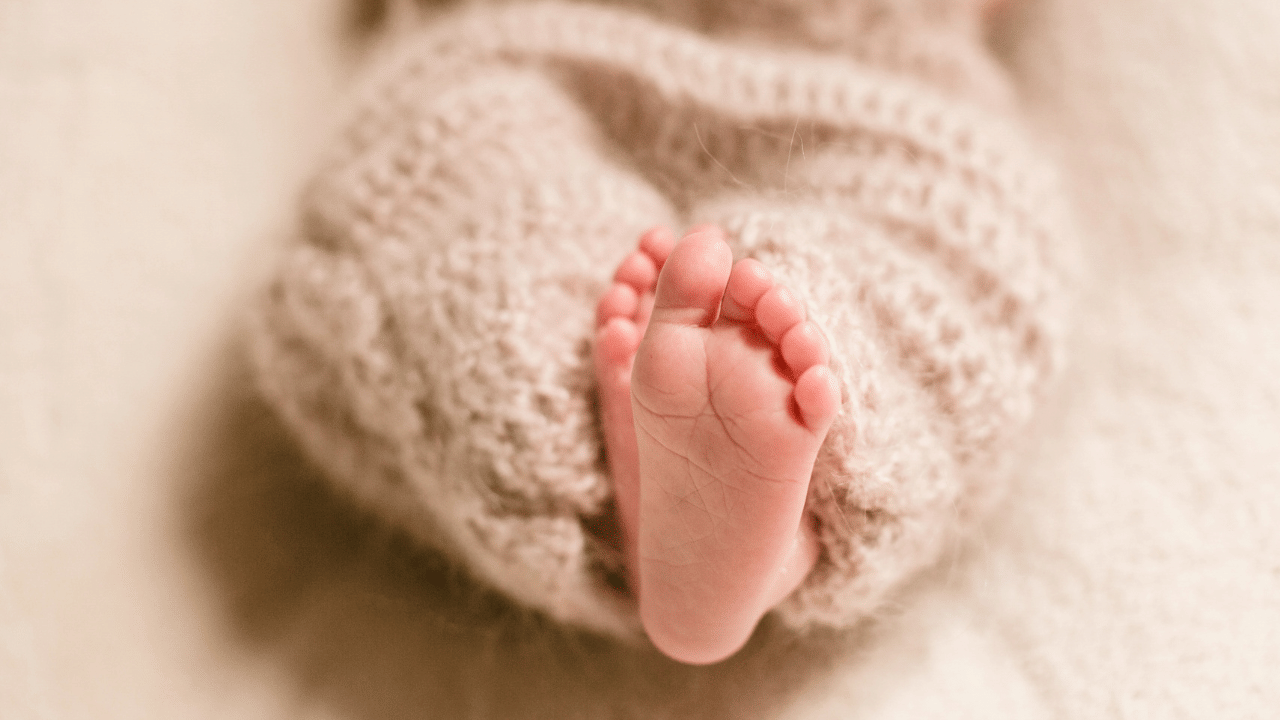 Thrissur Newborn Murder: നവജാത ശിശുക്കളെ കൊന്ന് കുഴിച്ചുമൂടി; തൃശൂരിൽ യുവാവും യുവതിയും കസ്റ്റഡിയിൽ