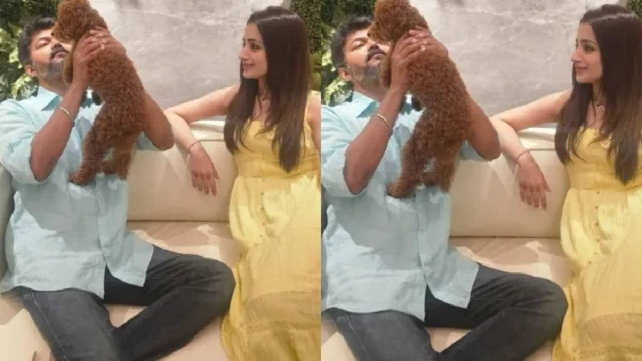 Trisha Krishnan : ഏറ്റവും മികച്ചയാൾ; വിജയിയുമായുള്ള ഗോസിപ്പുകൾക്കിടെ പിറന്നാളാശംസ നേർന്ന് തൃഷ; ഉറപ്പിക്കാമോ എന്ന് ആരാധകർ Trisha Krishnan : ഏറ്റവും മികച്ചയാൾ; വിജയിയുമായുള്ള ഗോസിപ്പുകൾക്കിടെ പിറന്നാളാശംസ നേർന്ന് തൃഷ; ഉറപ്പിക്കാമോ എന്ന് ആരാധകർ