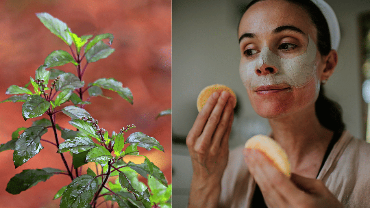 Tulsi For Skincare: തുളസിയും നാരങ്ങയും ഉണ്ടോ? മുഖം മിനുക്കാൻ വേറൊന്നും വേണ്ട; ഫേസ് മാസ്ക് തയ്യാറാക്കാം