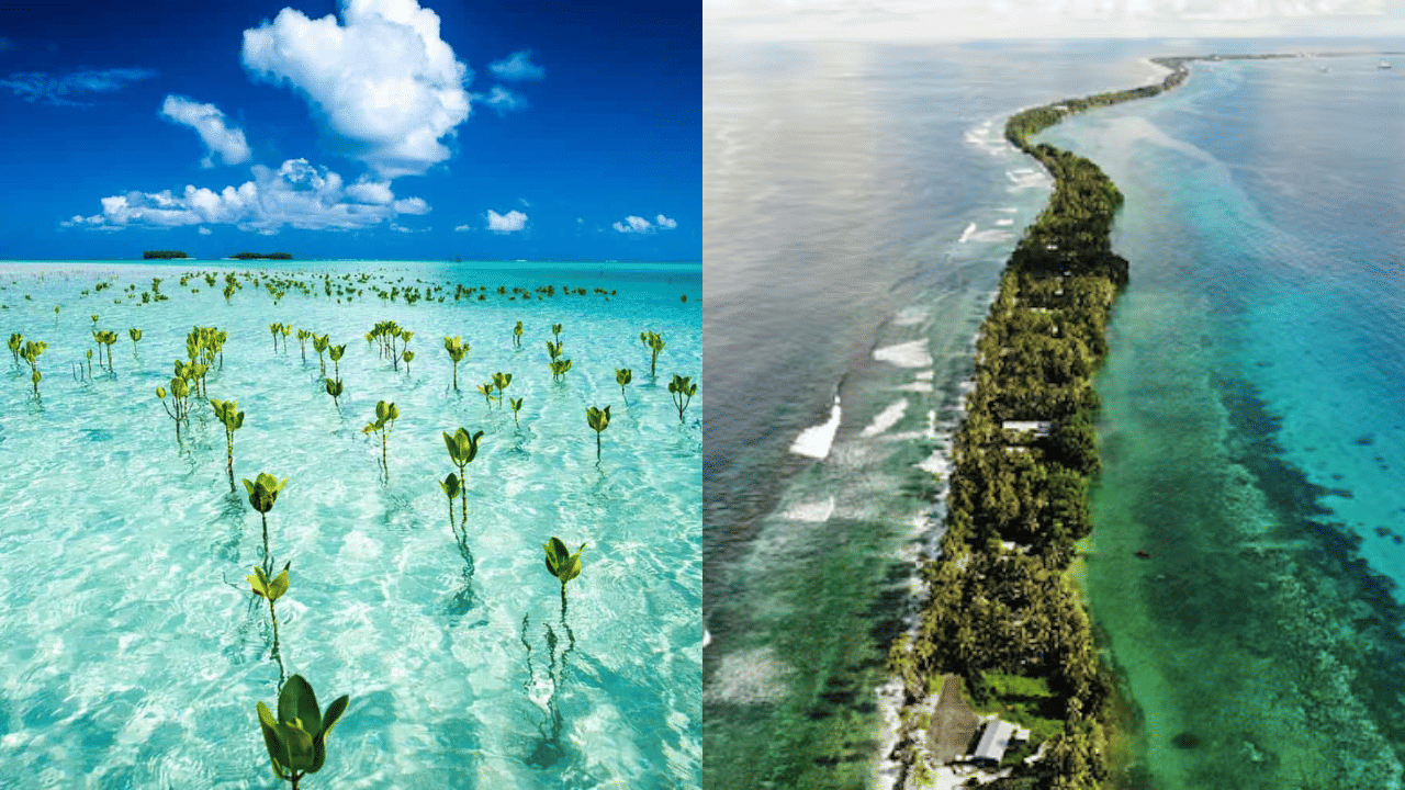 Tuvalu: വെജിറ്റേറിയൻ ഭക്ഷണം ലഭിക്കാത്ത ഒരോയൊരു രാജ്യം; ഇതാണ് ലോക ഭൂപടത്തിലെ കൗതുകകരമായ ദ്വീപ്