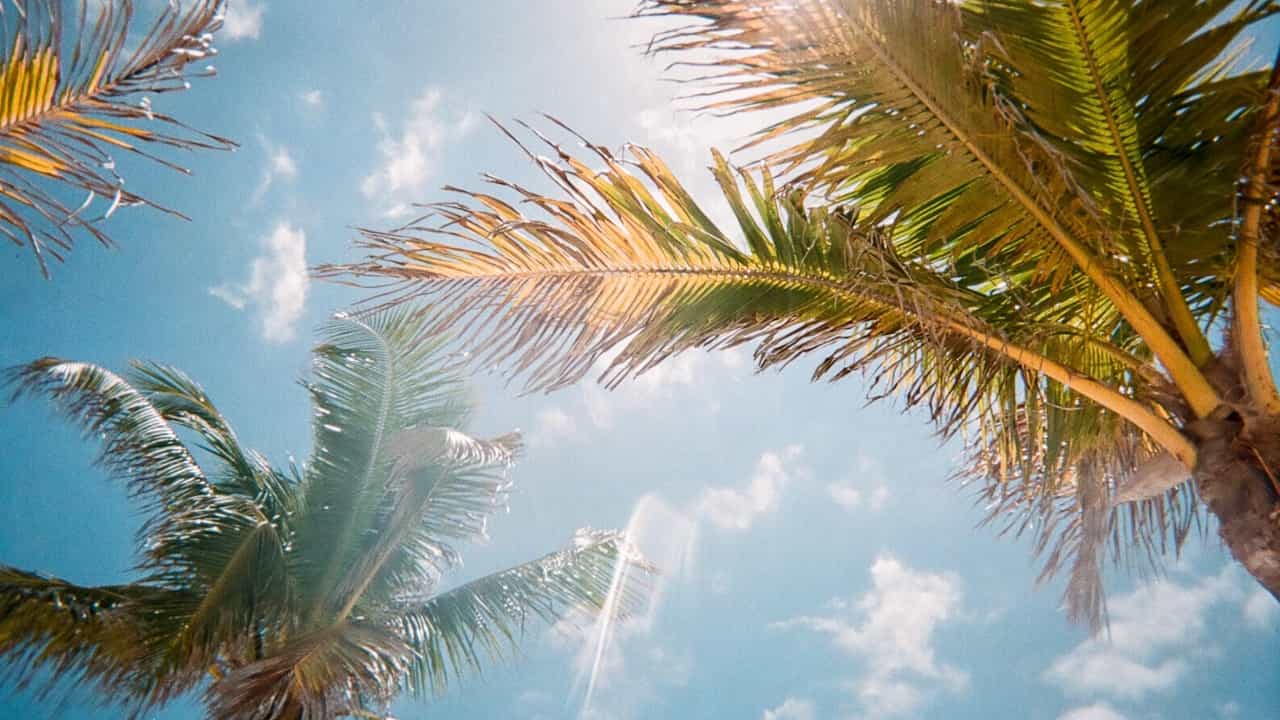 UAE Weather: അൽ ഐൻ ചുട്ടുപൊള്ളുന്നു; വെള്ളിയാഴ്ച രേഖപ്പെടുത്തിയത് 50 ഡിഗ്രി താപനില
