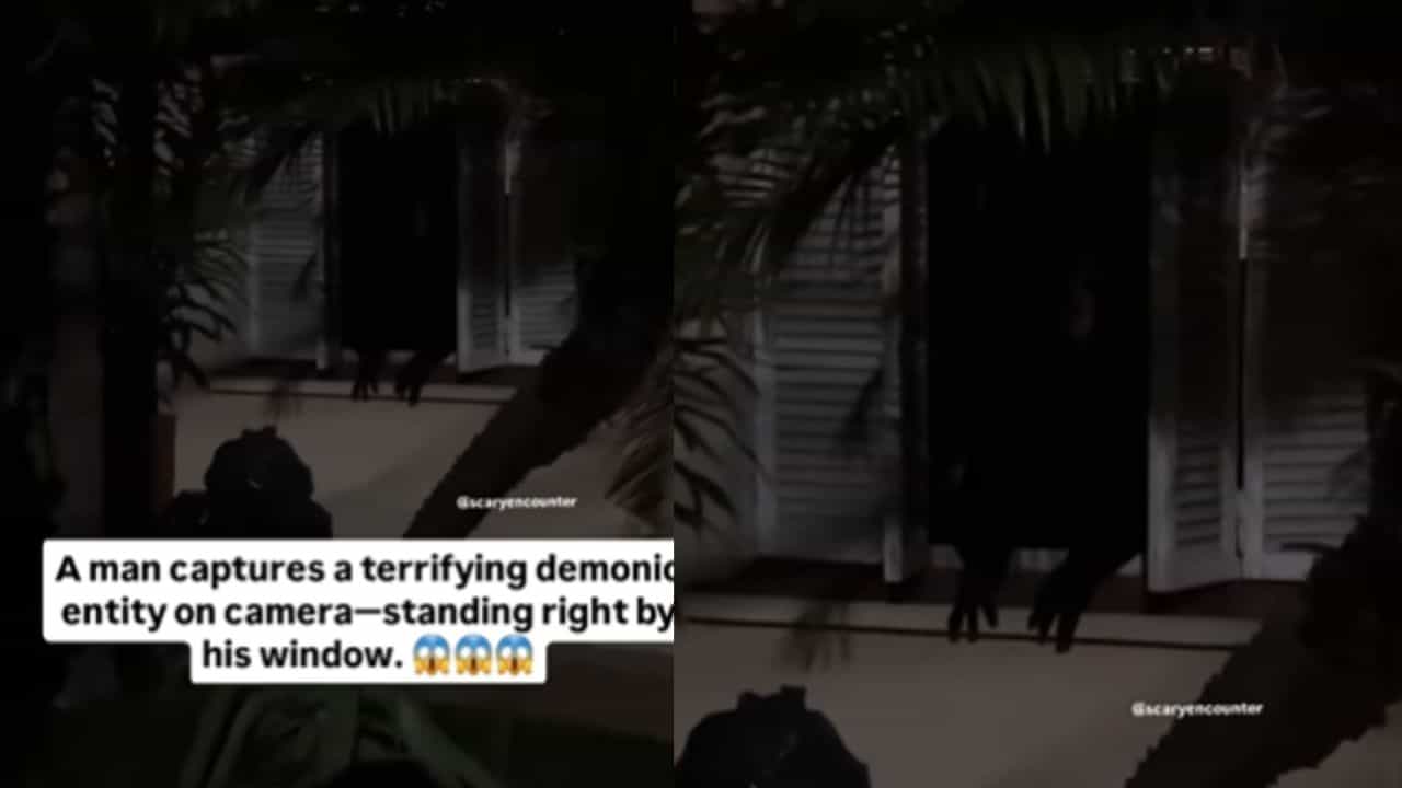Viral Video: വീടിന്റെ ജനാലയ്ക്കരികില്‍ ഭയാനകമായ രൂപം; ഞെട്ടിവിറച്ച് യുവാവ്