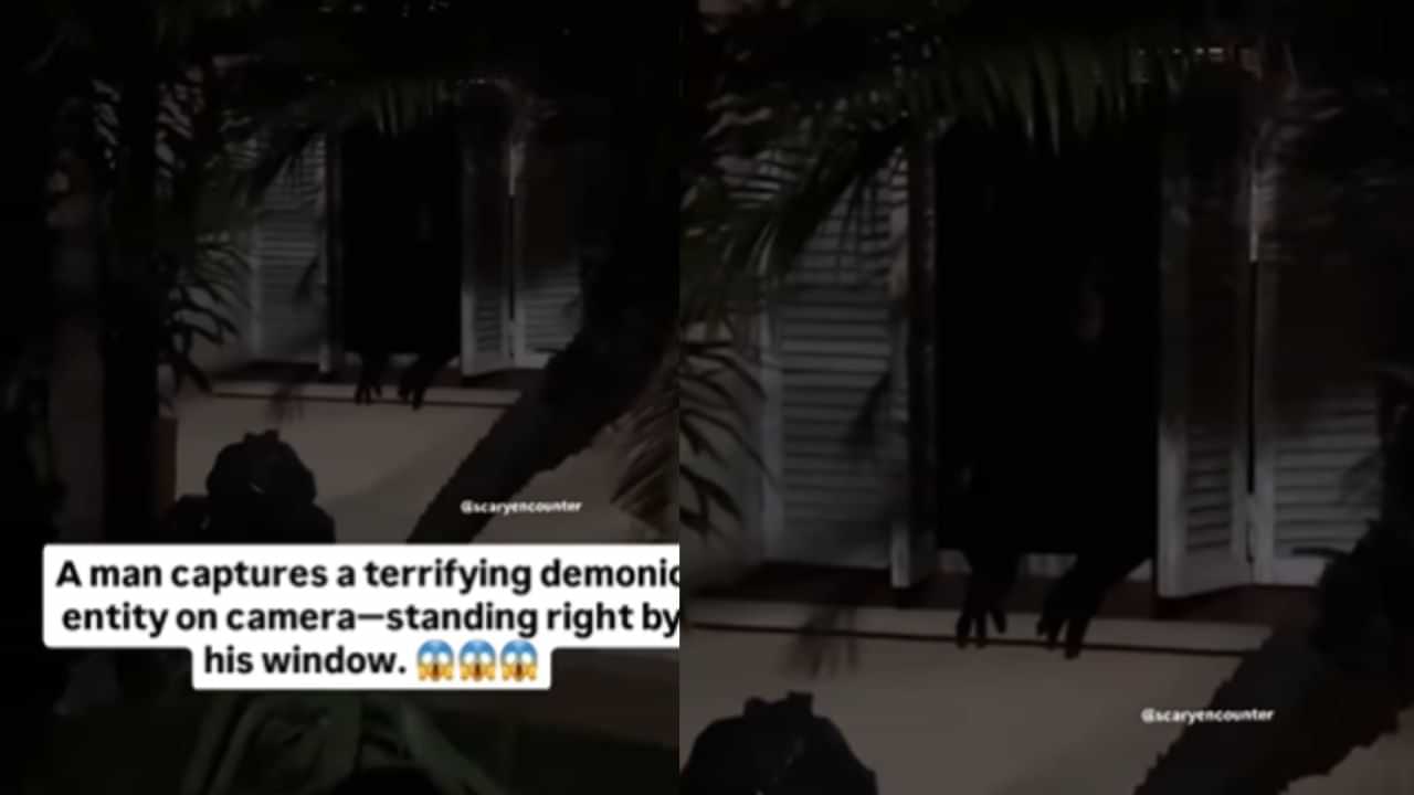 Viral Video: വീടിന്റെ ജനാലയ്ക്കരികില്‍ ഭയാനകമായ രൂപം; ഞെട്ടിവിറച്ച് യുവാവ്