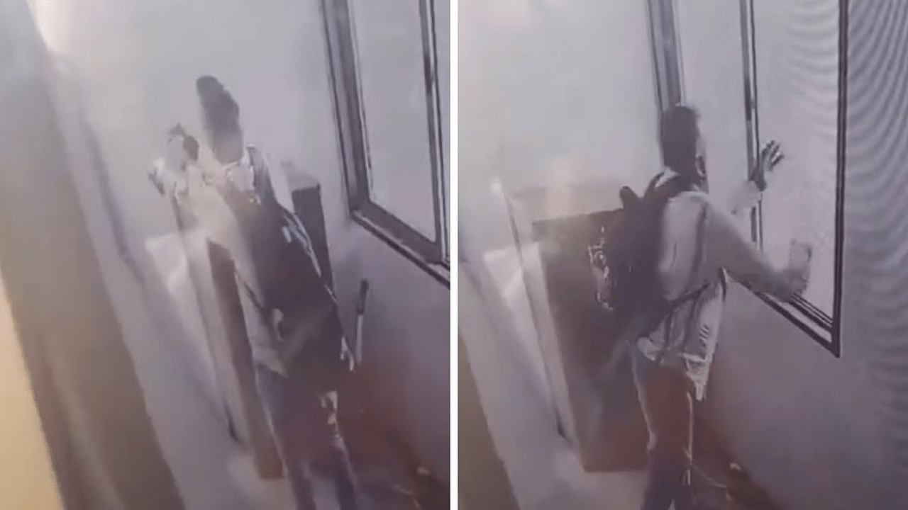 Viral CCTV Footage: എന്തൊരു ക്രൂരതയാണിത്, കെട്ടിടത്തിനു മുകളിൽ നിന്ന് പൂച്ചയെ വലിച്ചെറിഞ്ഞു കൊന്നയാളുടെ ദൃശ്യം വൈറലാകുന്നു