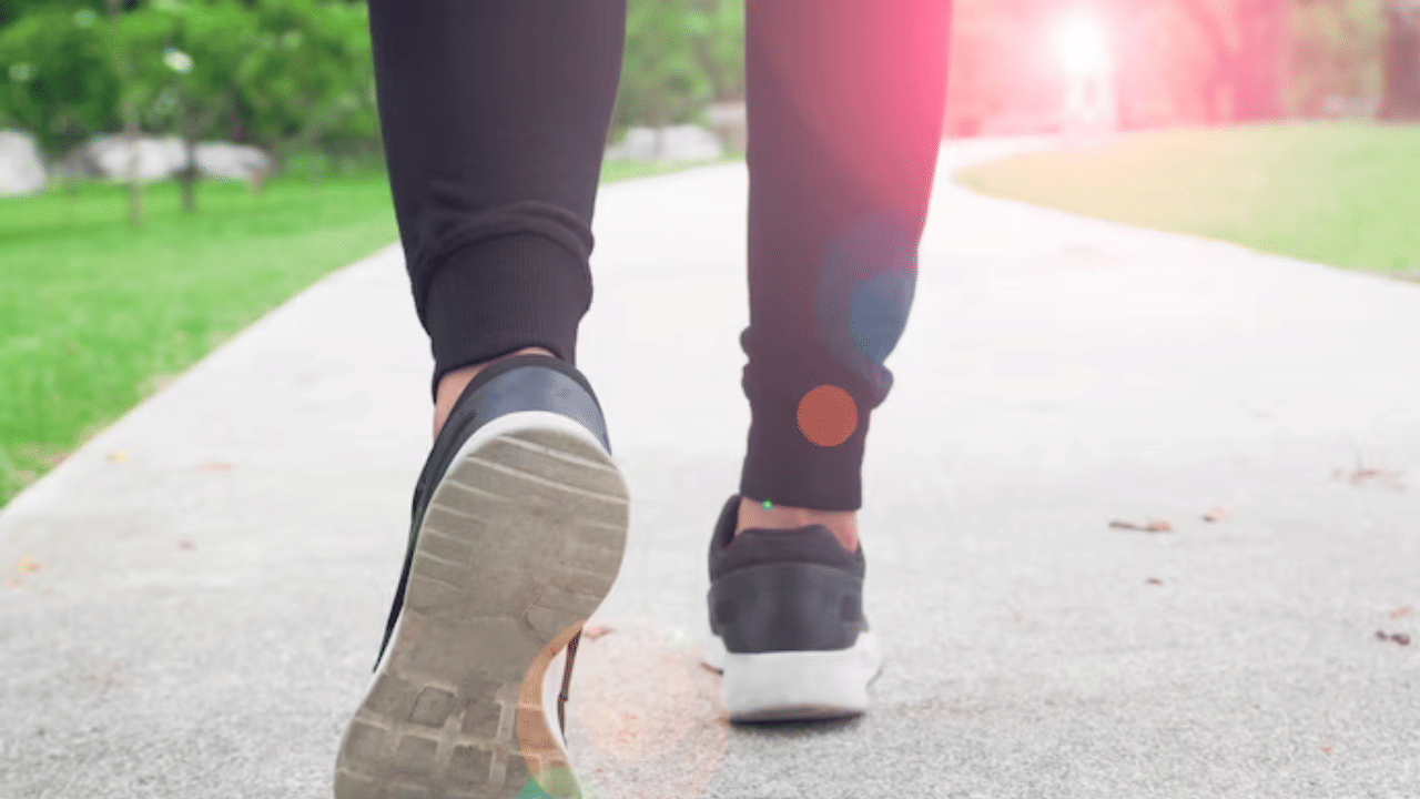 Morning Walk Benefits: പണം മുടക്കാതെ യൗവനം നിലനിർത്താം; ദിനവും 30 മിനിറ്റ് നടത്തം ശീലമാക്കിയാൽ മതി Morning Walk Benefits: പണം മുടക്കാതെ യൗവനം നിലനിർത്താം; ദിനവും 30 മിനിറ്റ് നടത്തം ശീലമാക്കിയാൽ മതി