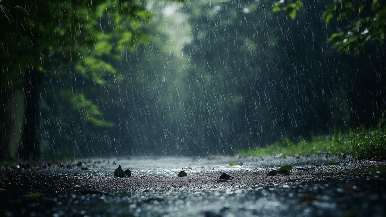 Kerala Weather Updates: സംസ്ഥാനത്ത് മഴ കുറയുന്നു; ഇന്ന് നാല് ജില്ലകളില്‍ യെല്ലോ അലേര്‍ട്ട്