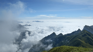 Valley of Flowers: 300 ഇനം ഹിമാലയൻ സസ്യജാലങ്ങൾ, ഓർക്കിഡുകളും; ഉത്തരാഖണ്ഡിലെ പൂക്കളുടെ താഴ്വര കാണാൻ പോയാലോ
