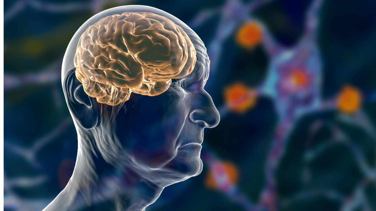 New AI Model: ചിന്തകൾ വാക്കുകളാക്കി മാറ്റുന്ന എെഎ വിദ്യ, പുതിയ മുന്നേറ്റവുമായി ഓസ്ട്രേലിയൻ ശാസ്ത്രജ്ഞർ