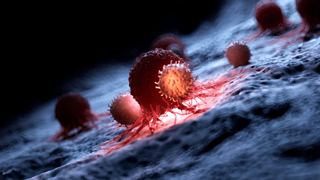 Gwada negative: അത്യപൂർവ്വമായ പുതിയ രക്ത​ഗ്രൂപ് കണ്ടെത്തി, ​സവിശേഷതകളേറെ, ​ഗ്വാട്ടാനെ​ഗറ്റീവിനെ തിരിച്ചറിഞ്ഞത് ഇങ്ങനെ