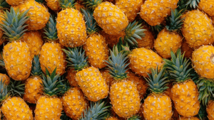 Pineapple health benefits: ഹൃദയാരോഗ്യത്തിനും ദഹനത്തിനും ബെസ്റ്റ്; പൈനാപ്പിളിന്റെ ഈ ഗുണങ്ങൾ അറിയാമോ? Pineapple health benefits: ഹൃദയാരോഗ്യത്തിനും ദഹനത്തിനും ബെസ്റ്റ്; പൈനാപ്പിളിന്റെ ഈ ഗുണങ്ങൾ അറിയാമോ?